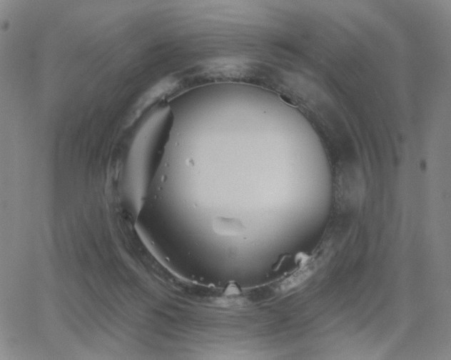 X0000063450168200601201229