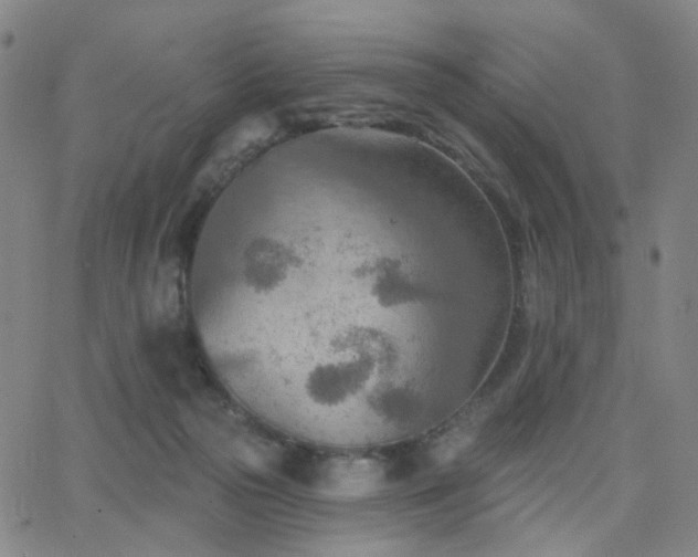 X0000063450169200601201229