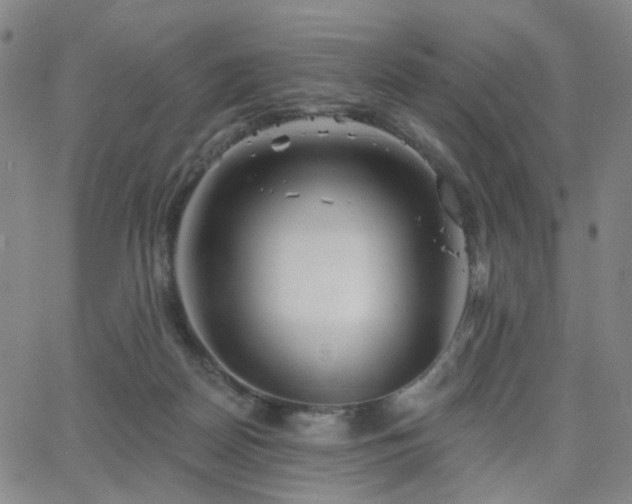 X0000063450170200601201229