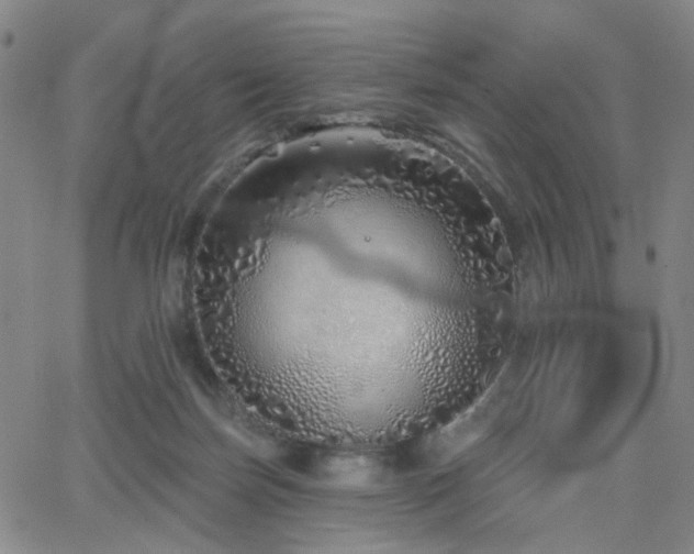 X0000063450171200601201229