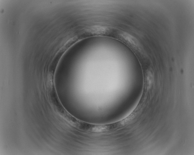 X0000063450172200601201229