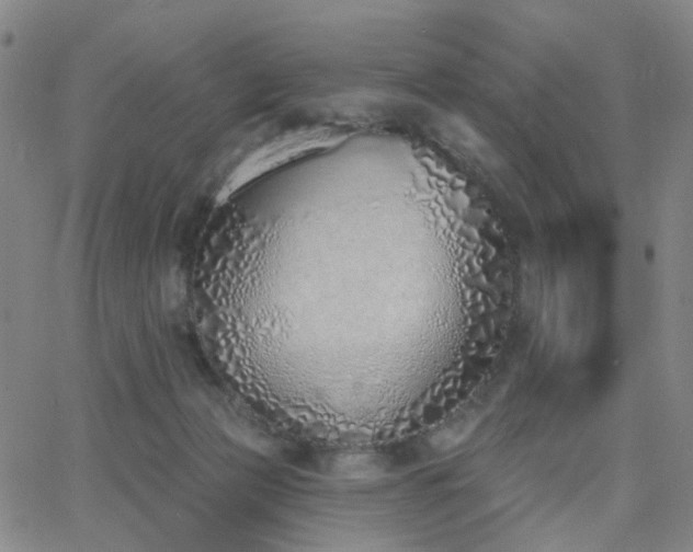 X0000063450173200601201229