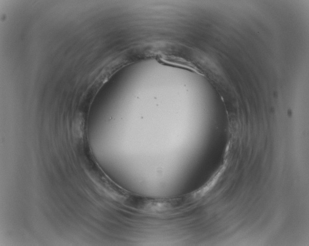 X0000063450174200601201229