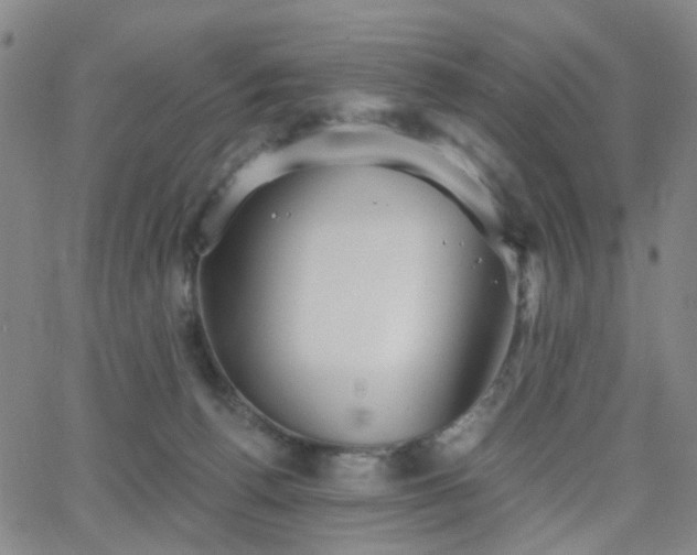 X0000063450176200601201229