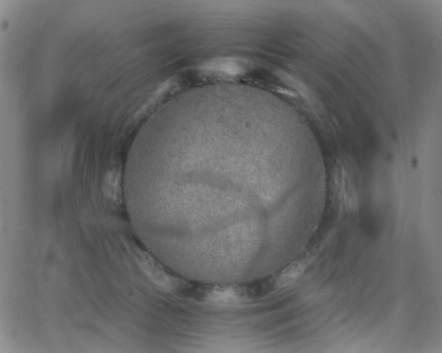 X0000063450177200601201230