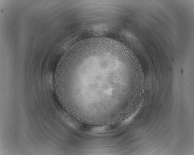 X0000063450178200601201230