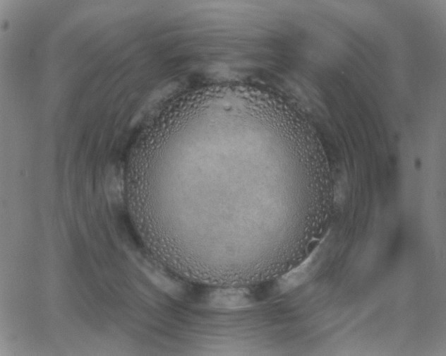 X0000063450179200601201230