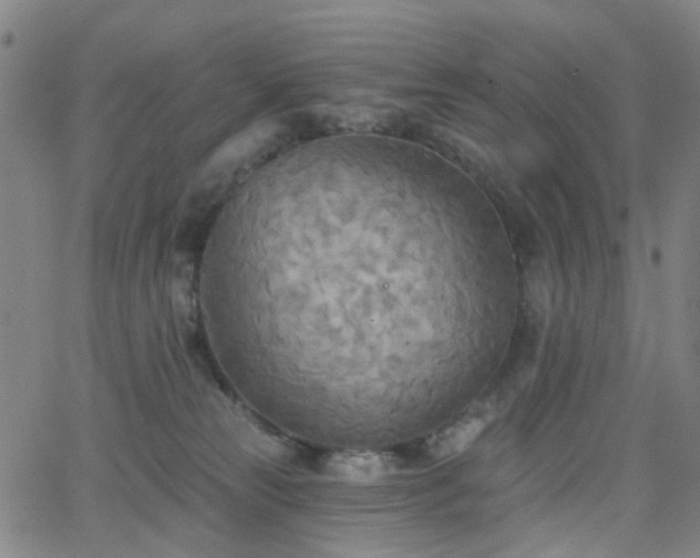 X0000063450181200601201230