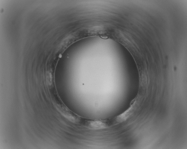 X0000063450183200601201230