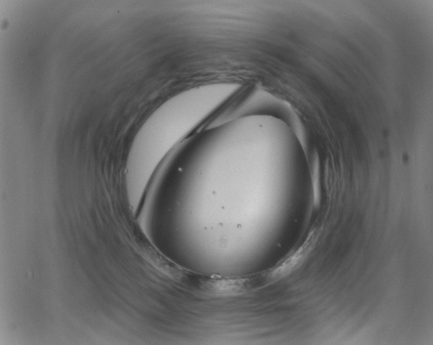 X0000063450184200601201230