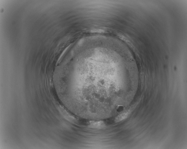 X0000063450185200601201230