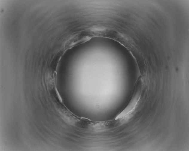 X0000063450186200601201230