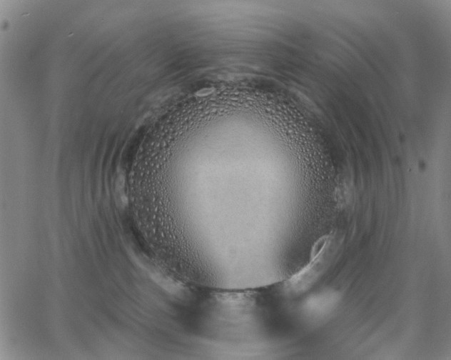 X0000063450187200601201230