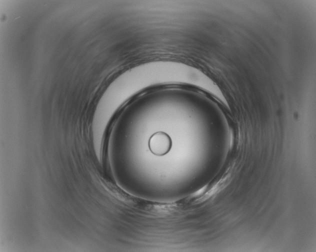 X0000063450188200601201230