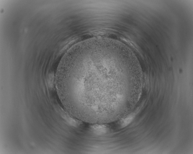 X0000063450189200601201230