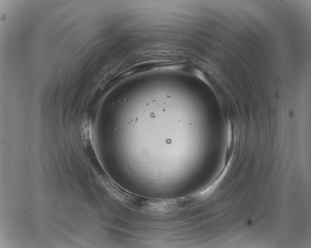 X0000063450190200601201230