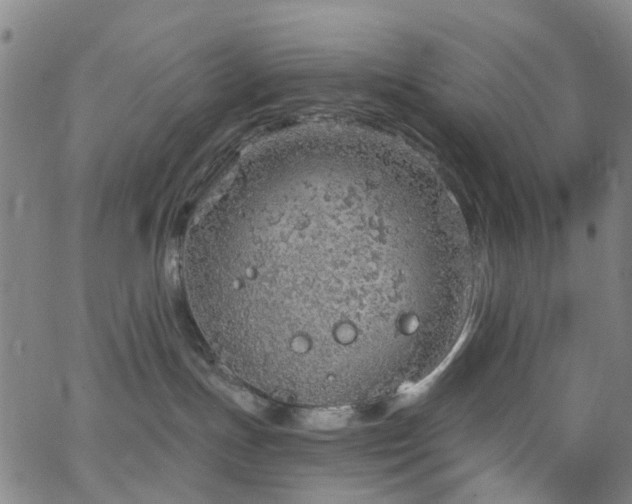 X0000063450191200601201230