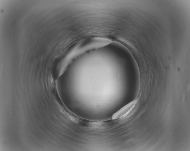 X0000063450192200601201230