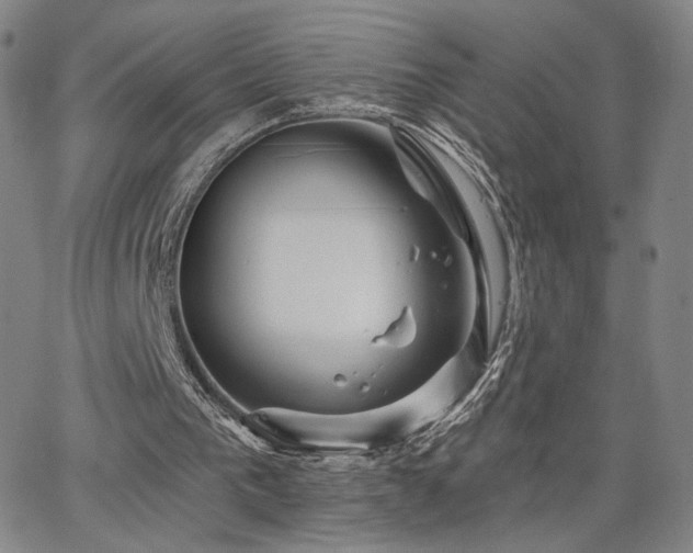 X0000063450193200601201229