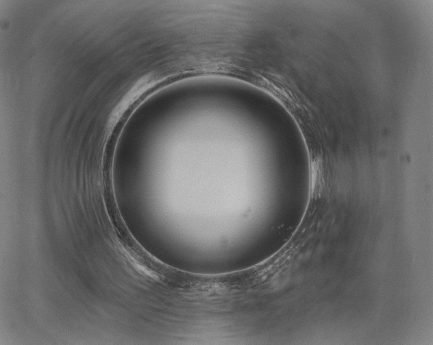 X0000063450195200601201229