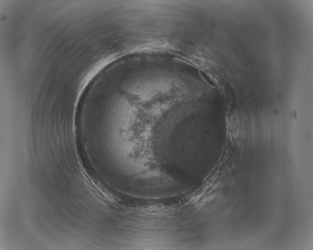 X0000063450196200601201229