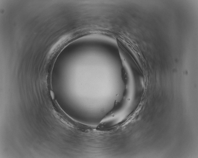 X0000063450197200601201229