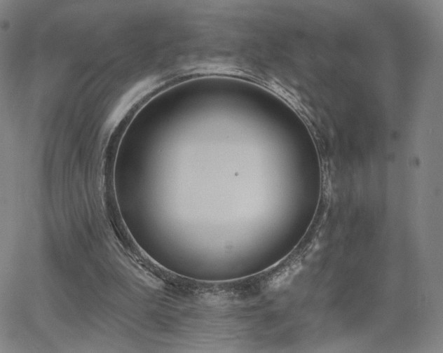 X0000063450199200601201229