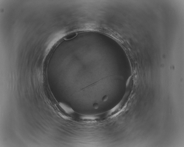 X0000063450200200601201229