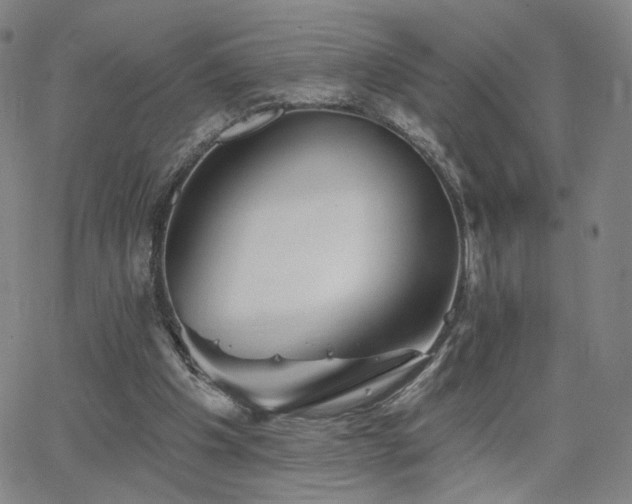 X0000063450201200601201229