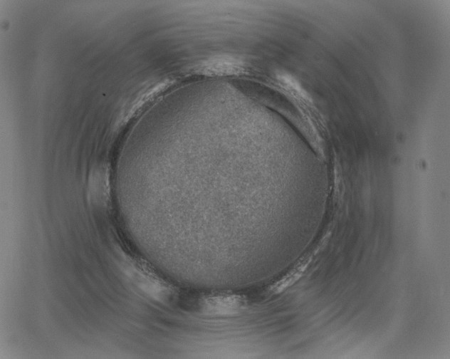 X0000063450202200601201229