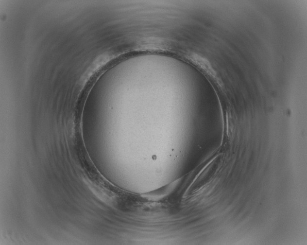 X0000063450204200601201229