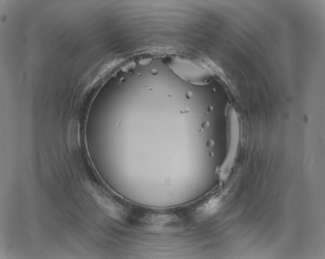 X0000063450205200601201229