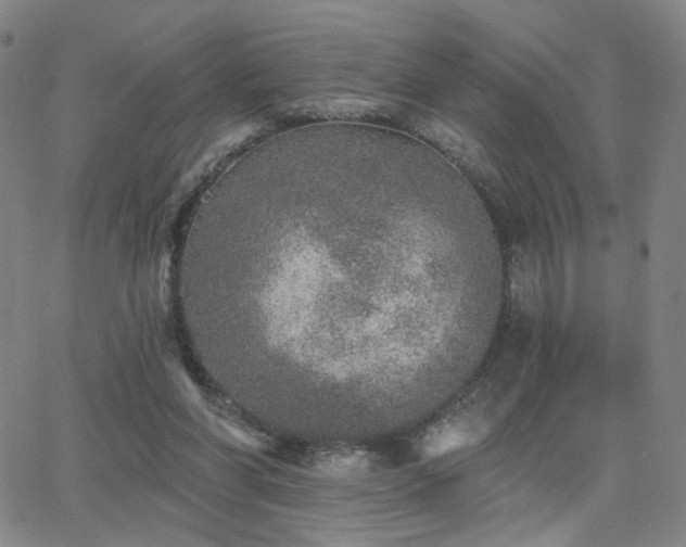 X0000063450206200601201229