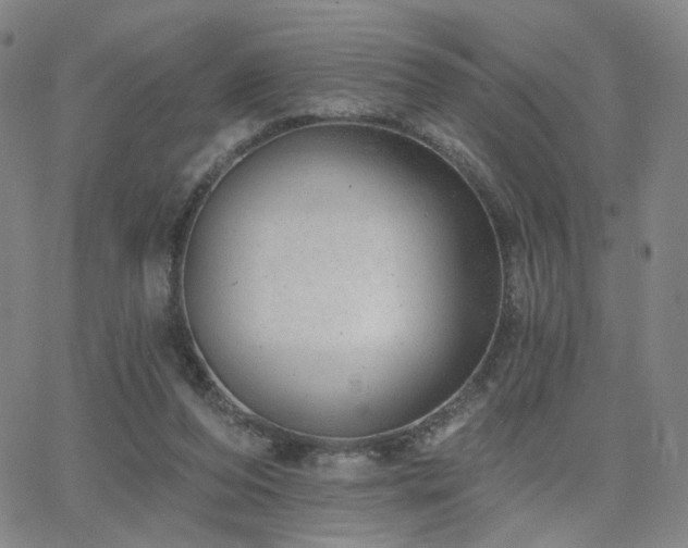 X0000063450208200601201229