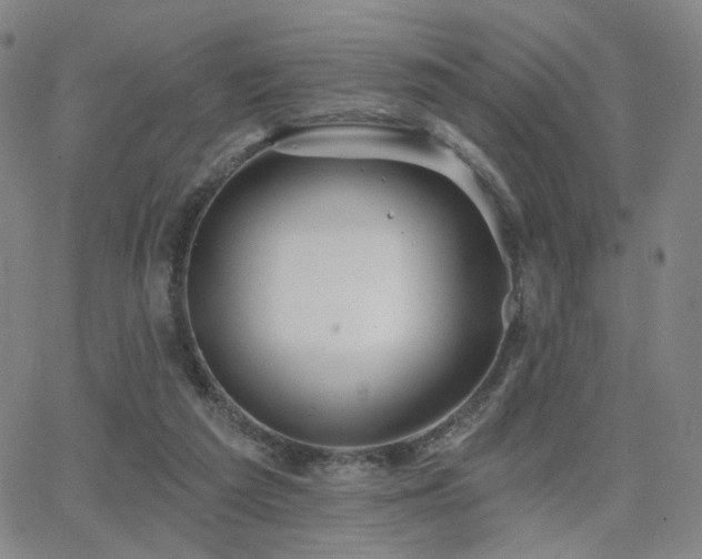 X0000063450209200601201229