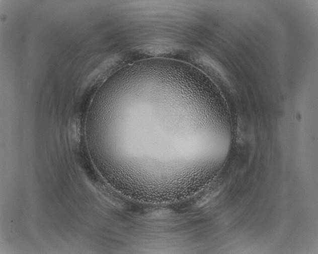 X0000063450210200601201229