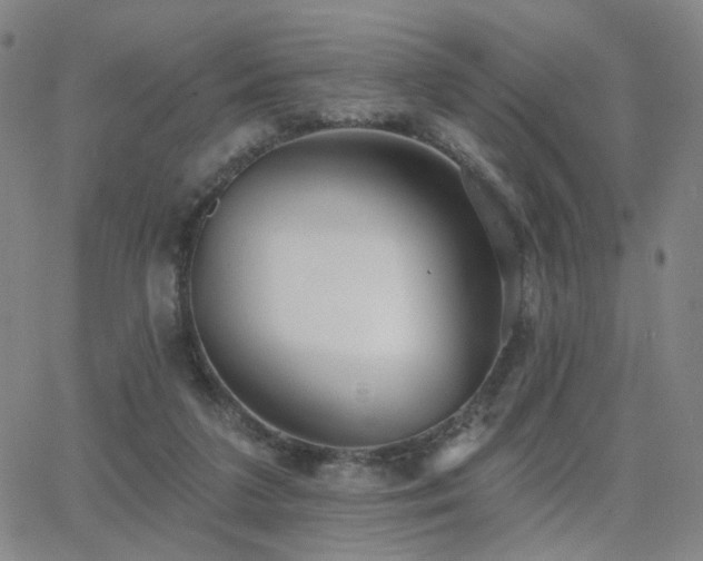 X0000063450211200601201229