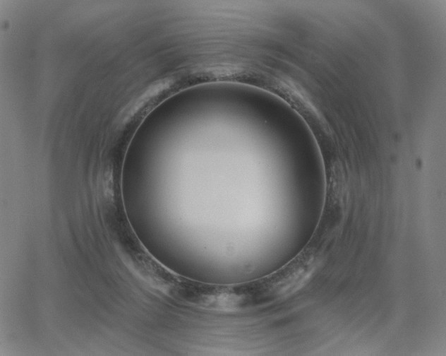 X0000063450212200601201229