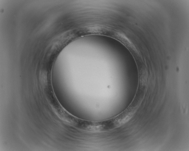 X0000063450213200601201229