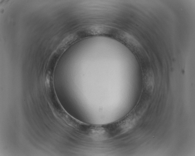 X0000063450214200601201229