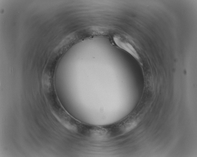 X0000063450215200601201229