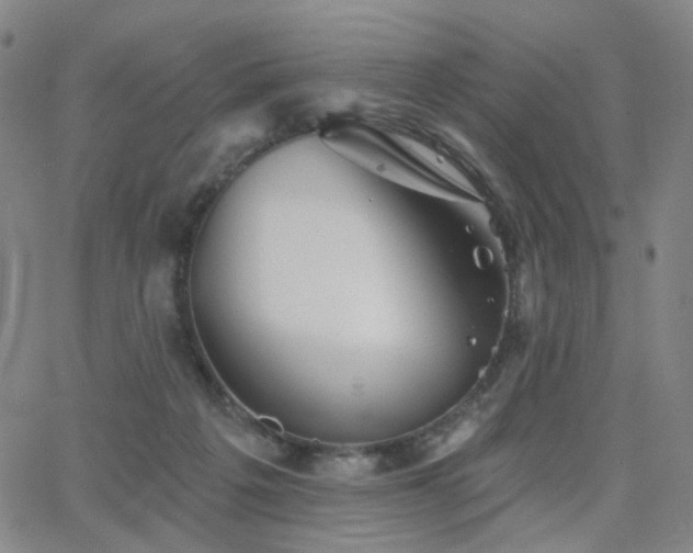 X0000063450217200601201229