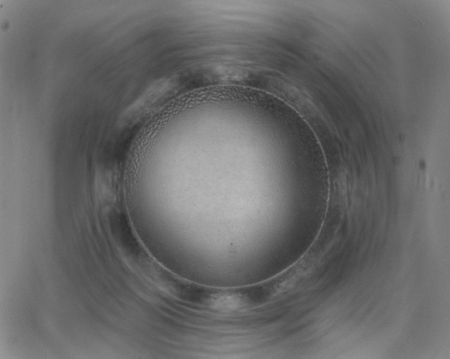 X0000063450218200601201229