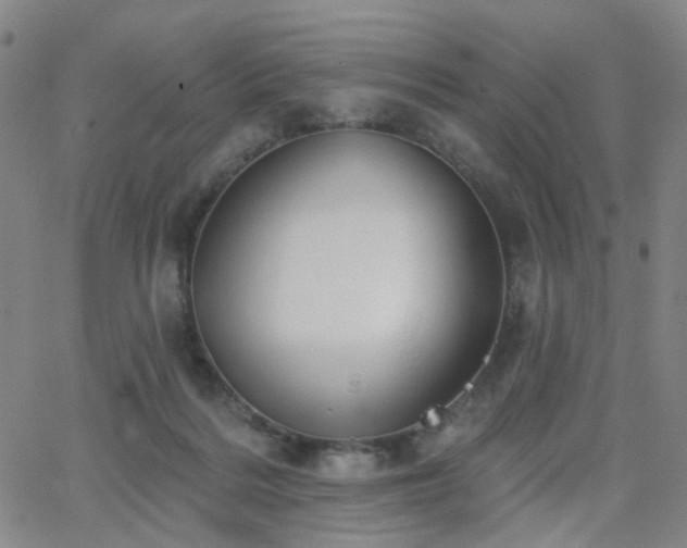 X0000063450220200601201229