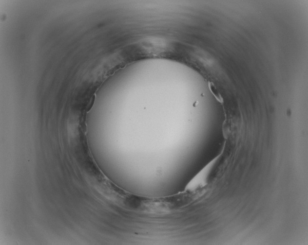 X0000063450221200601201229