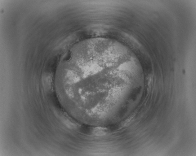 X0000063450222200601201228