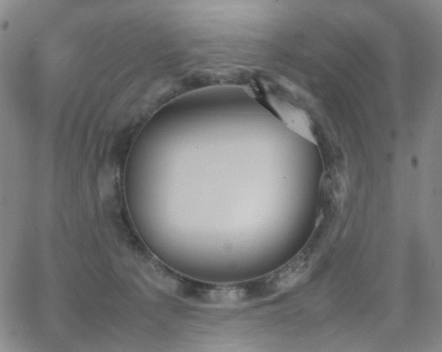 X0000063450225200601201228