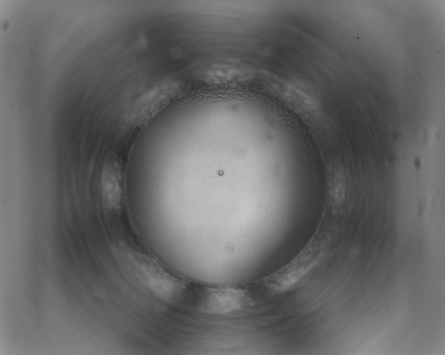 X0000063450226200601201228