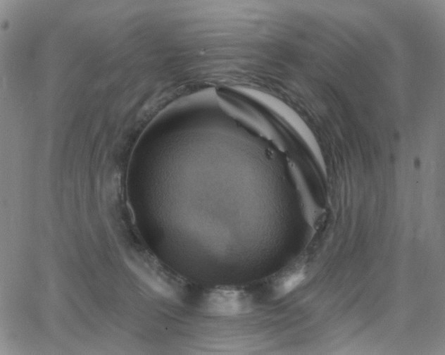 X0000063450227200601201228