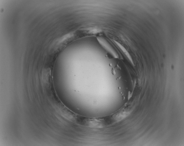 X0000063450229200601201228